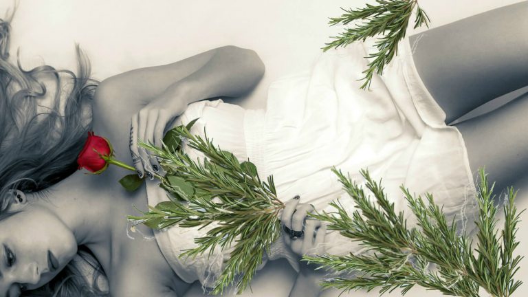 Plantas medicinais e endometriose
