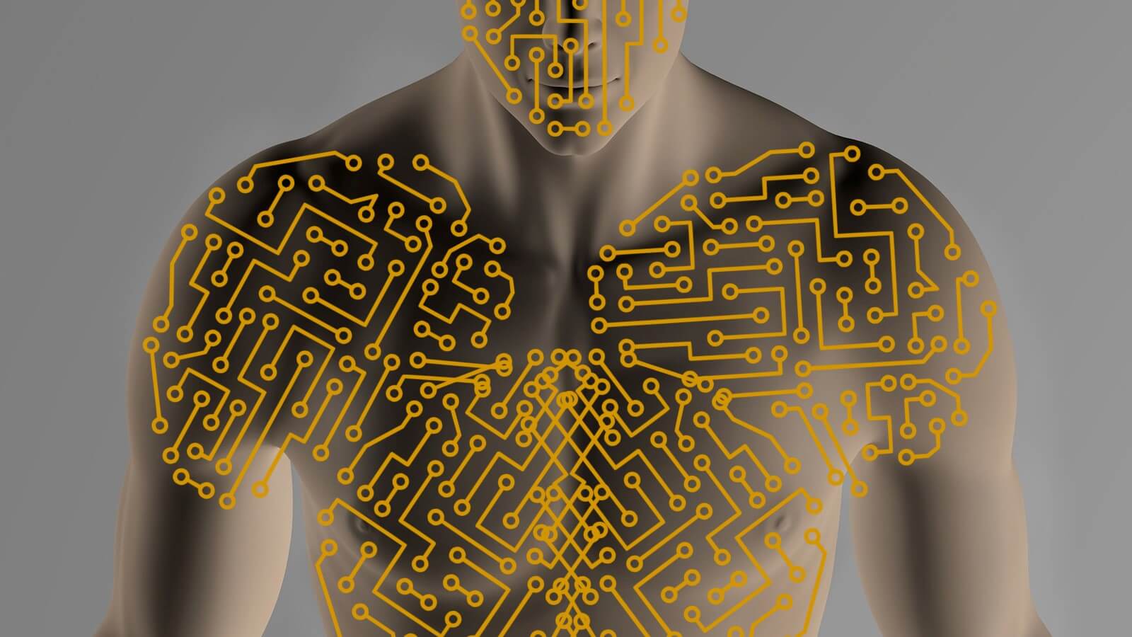 Sistema bioinformacional do corpo humano