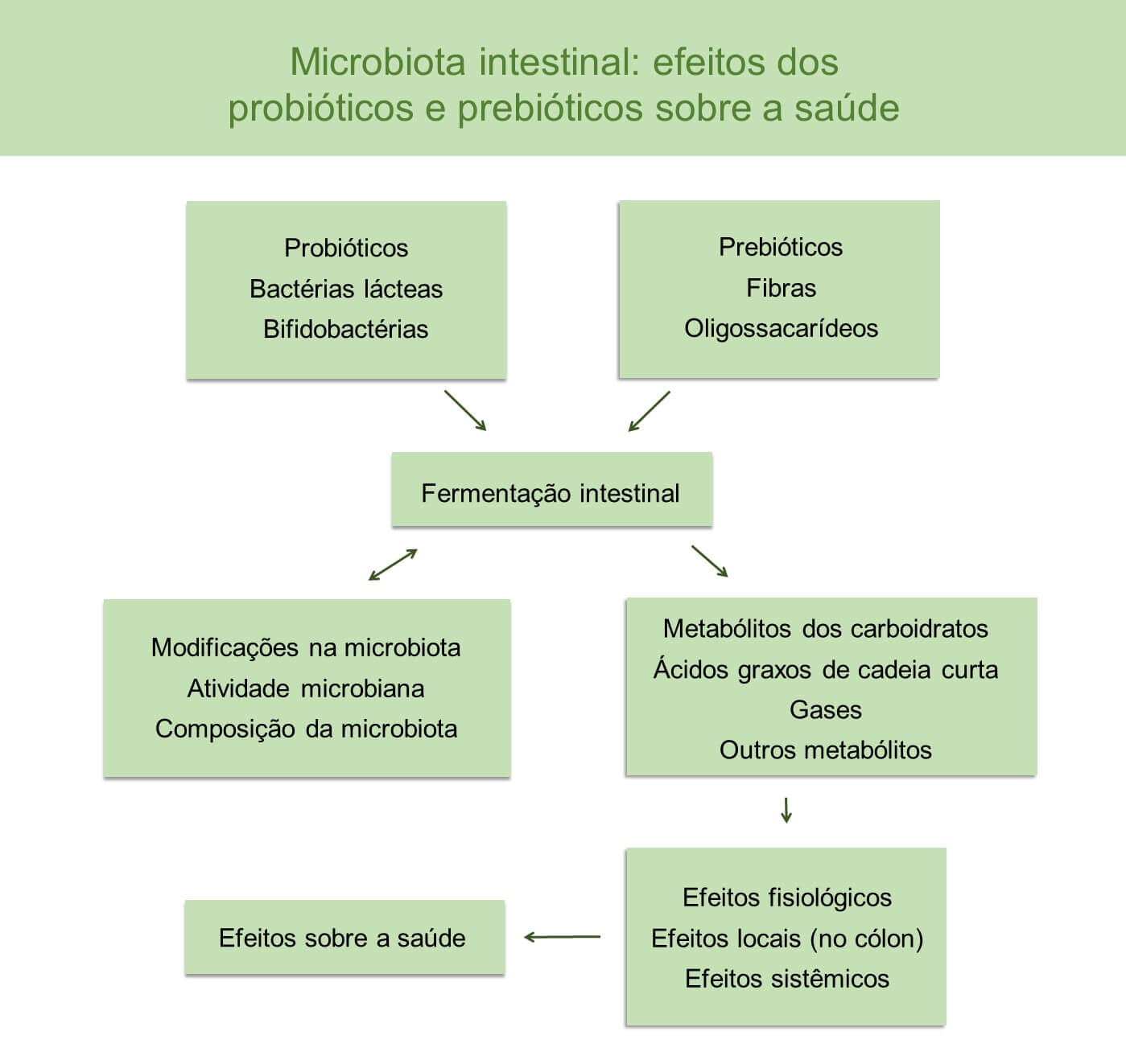 Microbiota intestinal - probióticos e prebióticos