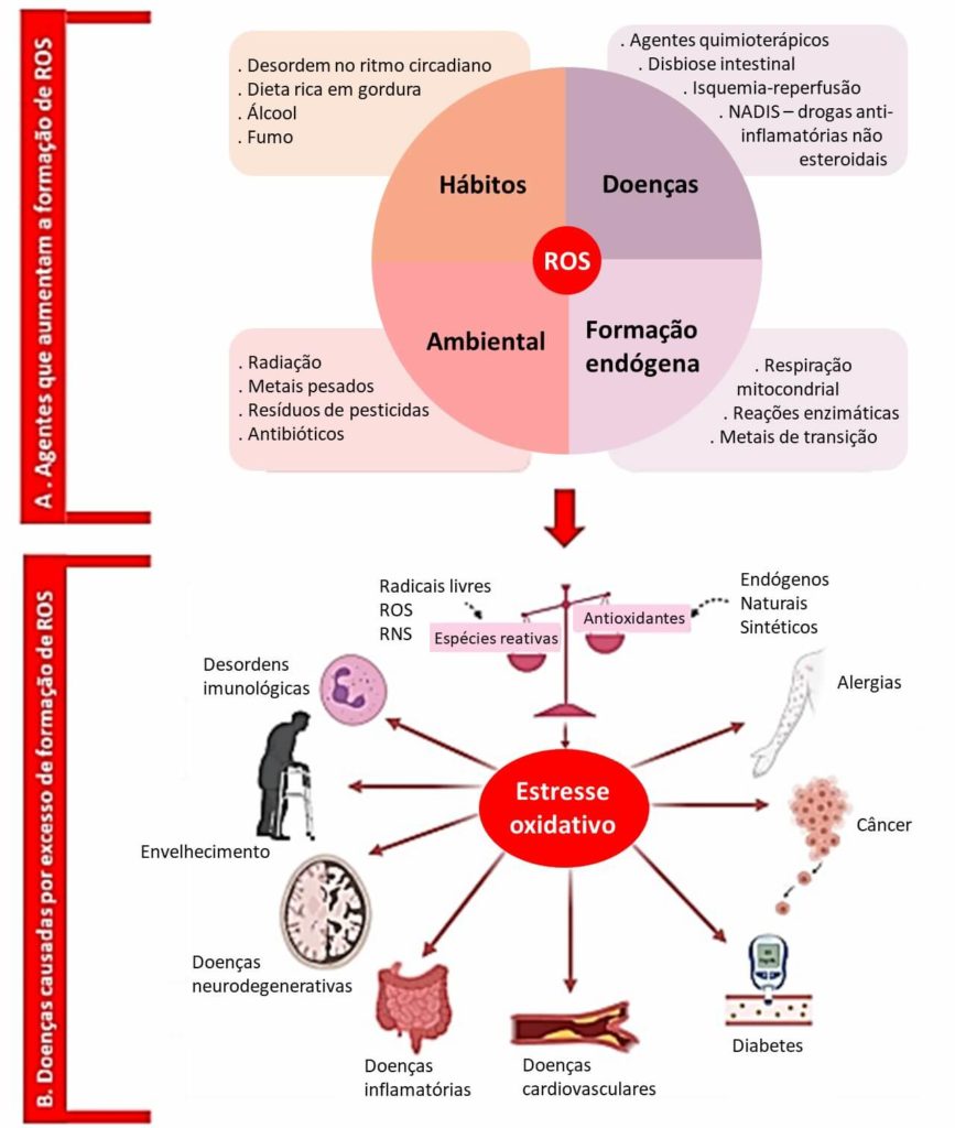 Estresse oxidativo - agentes causadores e doenças relacionadas
