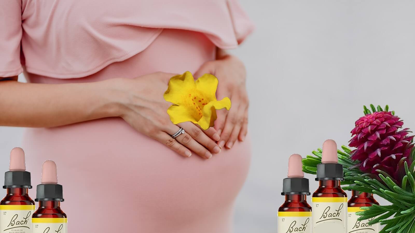 Uso de florais de Bach na gravidez e pós-parto