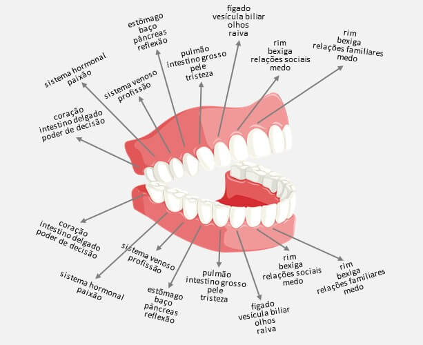 Biocibernética bucal - dentes, órgãos e emoções