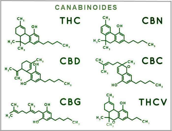 Cannabis medicinal e seus componentes