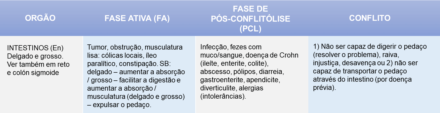 Nova medicina germânica