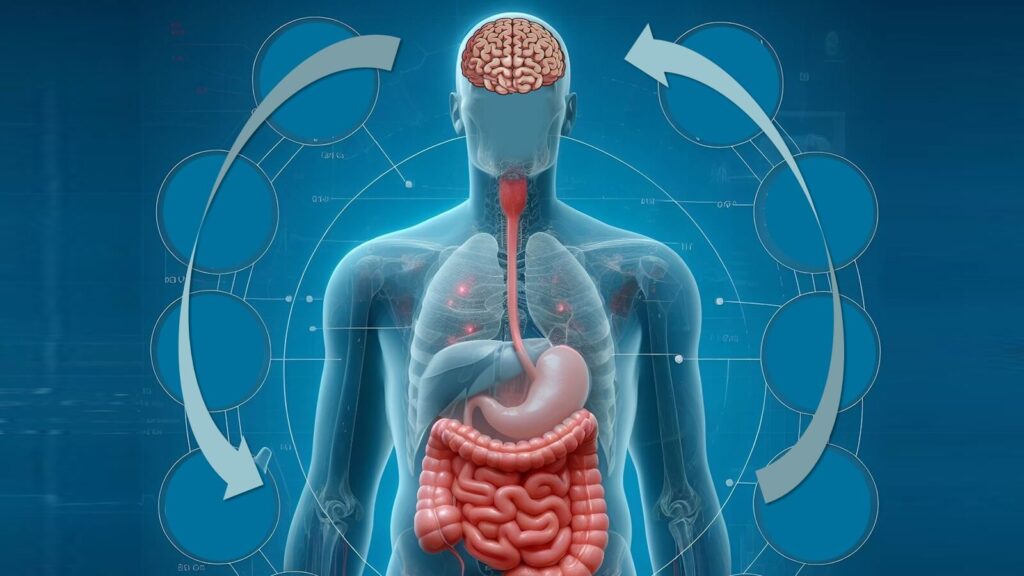 A incrível conexão entre o cérebro e o intestino - Medicina Integrativa