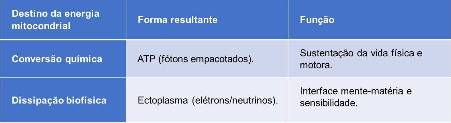 Mitocôndrias e a produção energética nas células