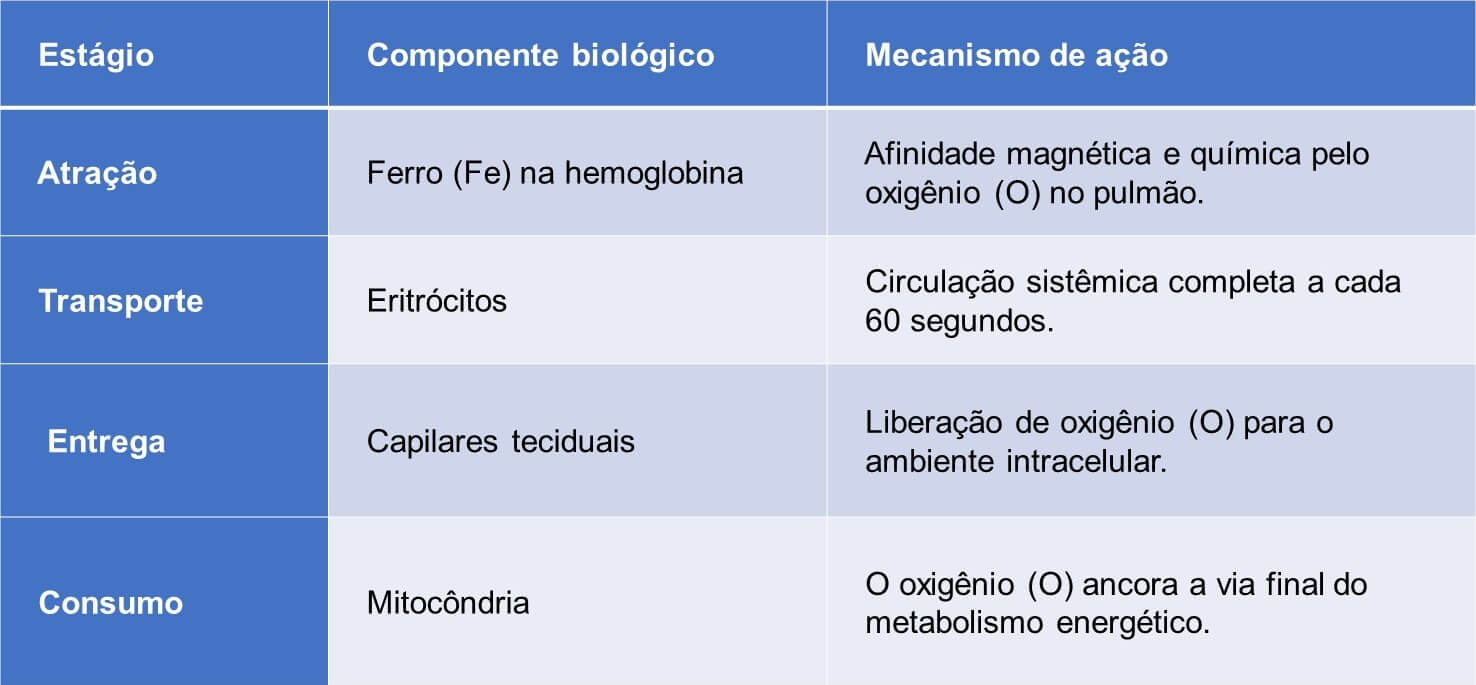 Respiração celular e manifestação da consciência