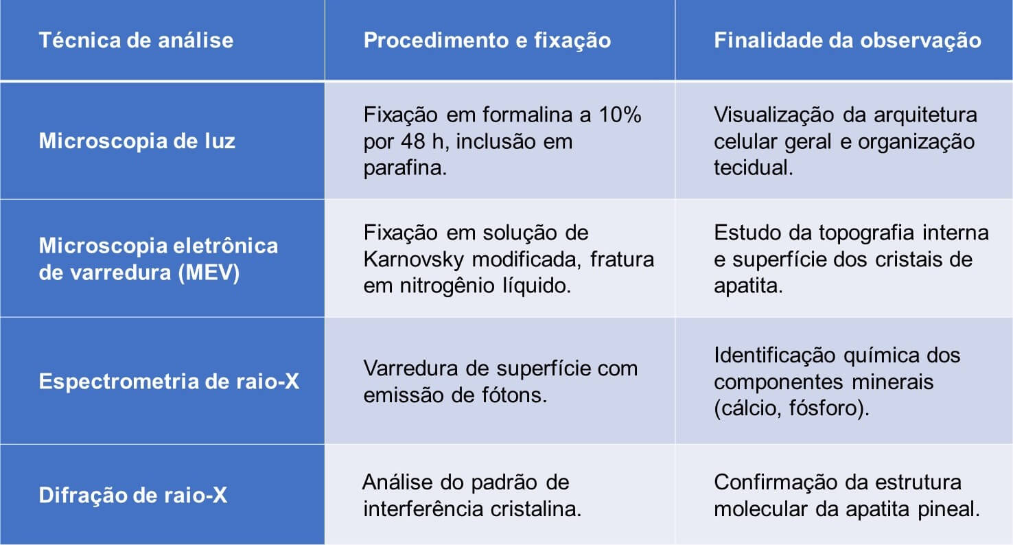 Análise interna da glândula pineal