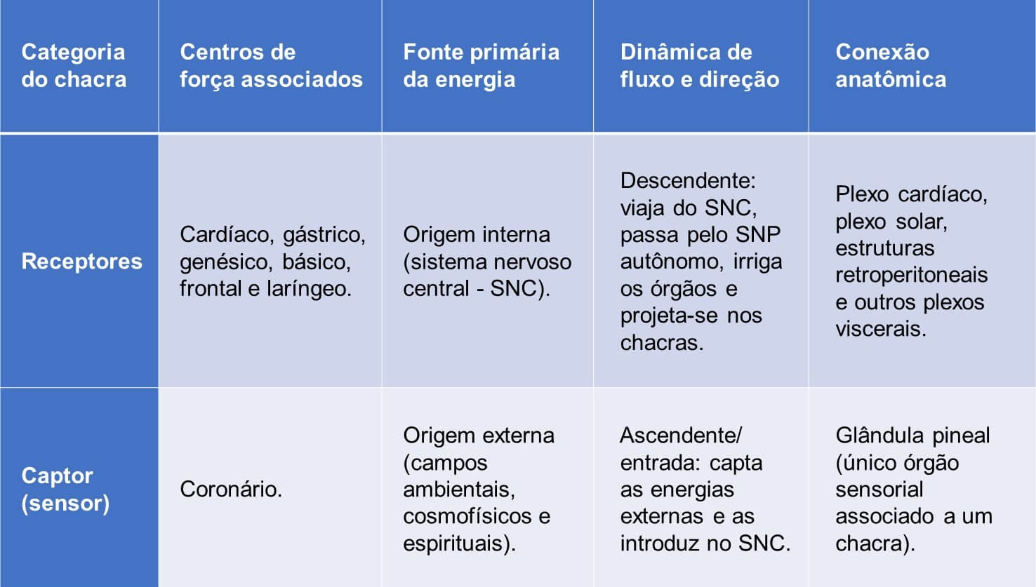 Relações entre os chacras e o sistema nervoso