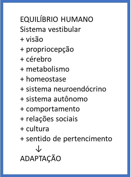 Equilíbrio orgânico, comportamental e cultural