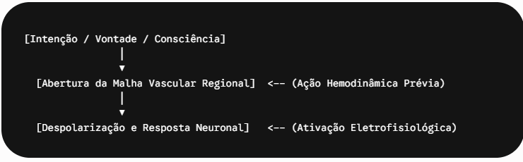 Modulação cerebral e intencionalidade