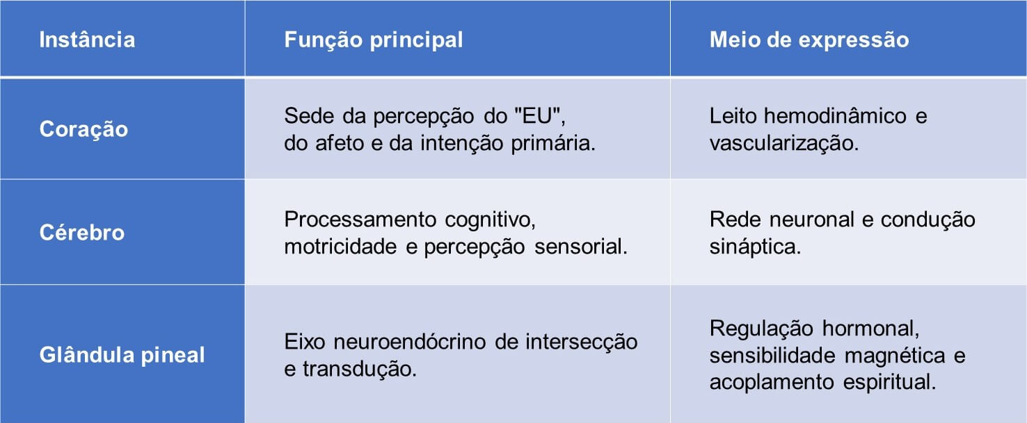Glândula pineal e conexão entre fisiologia e espiritualidade